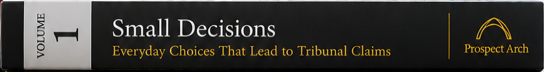 Volume 1: Small Decisions, Big Implications